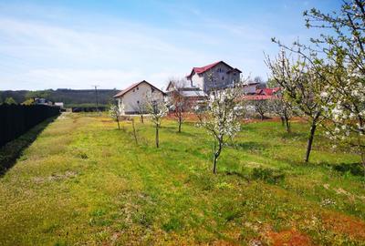 Casa P+E, BASCOV, semifinisata, teren 5044mp - 4