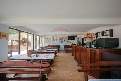 Oportunitate de investiție, Restaurantul Piatra Grăitoare,Vârtop,Bihor - 13