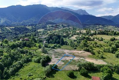 Teren intravilan 1900 mp| Bran / Sohodol | Priveliște superbă - 4