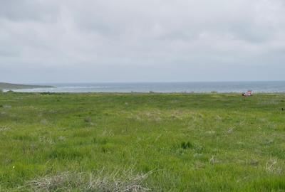 Teren intravilan 12.600 mp în apropiere de Beach Please și Nibiru - 6