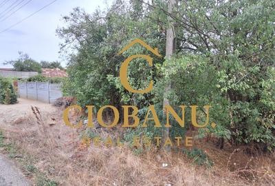 Teren Intravilan/Extravilan de vanzare in Bradestii Batrani - 7