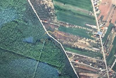 Teren Construcții intravilan de 4701 mp, în Gruiu