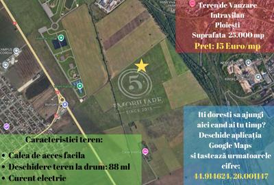 Teren Construcții intravilan de 25000 mp, în Vest