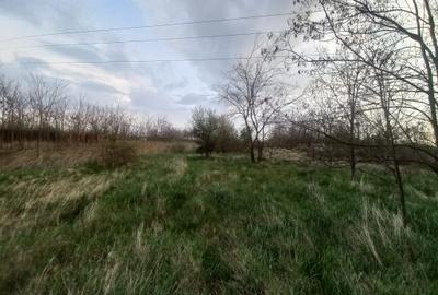 Teren de vanzare in Snagov, Jud. Ilfov - 4
