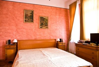 Vila desebita-POPA NAN- O oaza de liniste si verdeata in centrul orasului. - 6