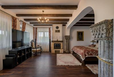 Vila Albatros | Eleganta aristocrata pe malul lacului - 49
