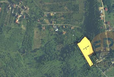 TEREN dublu front Oradea Str.Vantului-Paleu - 7