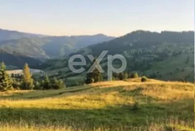 Teren Budeasa cu iesire la lac - 1