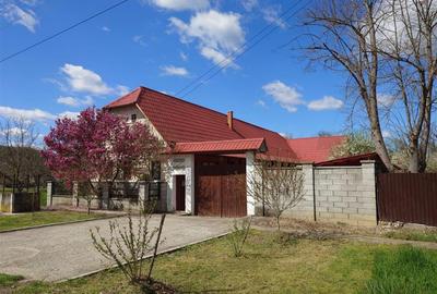 Aici incepe linistea - Casa cu gradina si foisor in Brazii Arad - 1