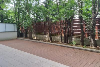 Iancu Nicolae/ Apartament cu 3 camere/ Gradina proprie/Parcare/ - 10
