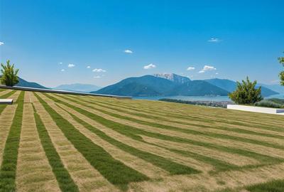 Teren Construcții intravilan de 10562 mp, în Central