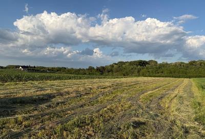 Teren de vanzare in Ocna Sibiului – Locatie premium langa lacurile sarate - 2