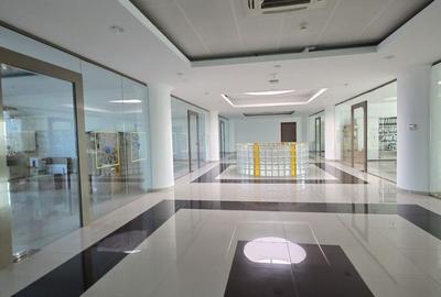Splaiu Unirii teren 5000 mp Imobil S+P+5 Showroom, Clinica , Birouri , Hotel - 21
