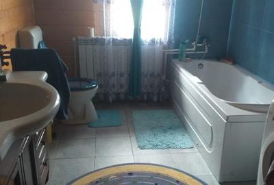 HORIA - 3 CAMERE ,SUPRAFATA 100 MP,TEREN 3000 MP CU DESCHIDERE LA LAC - 9
