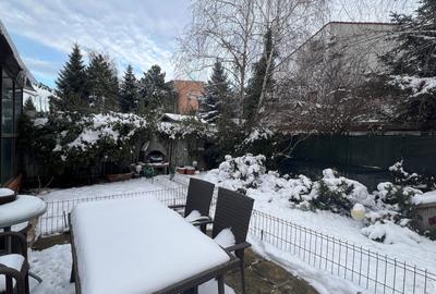 Vila Damaroaia - langa lacul Grivita - 13