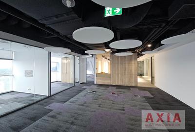 Birou premium in zona Piata Victoriei - 10