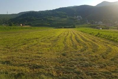 Vanzare Teren Intravilan 4400 mp CETATE Stadion, D+P+4 la asfalt toate utilitati - 5