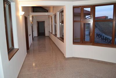 Închiriem birouri în centrul Timisoarei 42mp-360€ , 67mp-550€ , 75 mp-600€ - 13