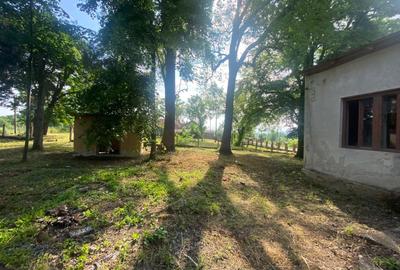 VILA DE VANZARE IN BALINT - 4