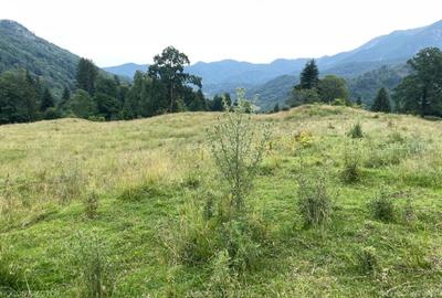 Teren Rasnov inntravilan PUZ) zona Parau Rece - 8