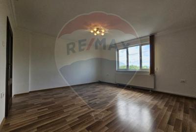 Casă / Vilă cu 4 camere de închiriat în zona Andrei Muresanu - 4
