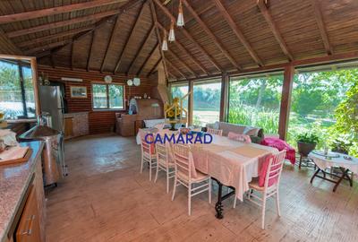 Casa de vanzare 4 camere- teren 2550 mp in comuna Tamadaul Mare - Jud Calarasi - 10