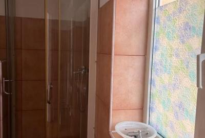 Unirii Inchiriez ap 3 cam nemobilat et 1 Vila recent renovat pentru birou parcar - 4