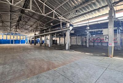 Hală industrială de închiriat 1500-3400 mp uta Arad - 15