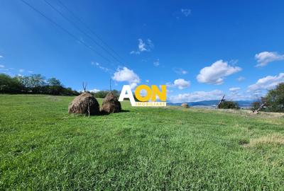 De vanzare 2965 mp teren intravilan, toate utilitatile, Oarda de Sus - 5