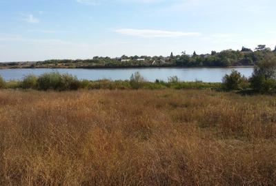 Proprietate frumoasa si rara cu deschidere la lac!La 30 km de Bucuresti - 6