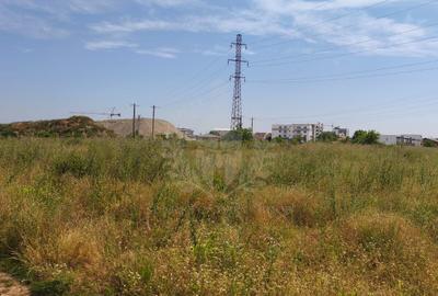 Teren Construcții intravilan de 2925 mp, în Albert