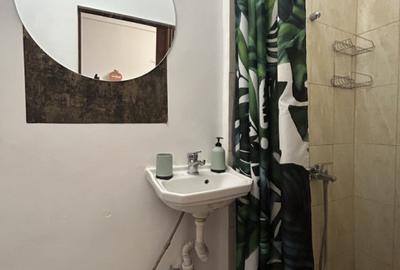 Apartament 1 camera 42 mp utili, etaj 1, Piata Unirii  PERFECT PENTRU INVESTIT - 11