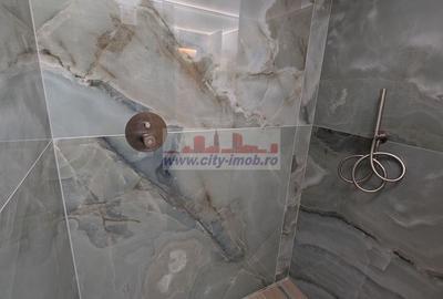 Inchiriere  Apartamnet  3  Camere Iancu Nicolae - 11