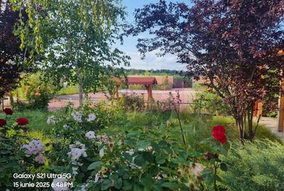 VANZARE CASA OASPETI + ANEXE IN  SAT TEISORI (JUD. GIURGIU) - 41