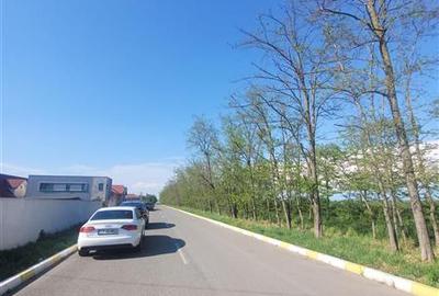 Teren Intravilan Valu lui Traian, 3 Loturi a cate 311 mp - 4