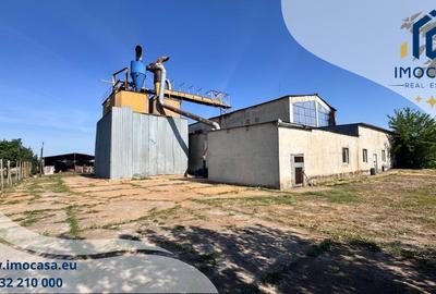 Hala industriala, depozitare vanzare,inchiriere Seitin Arad 10 km vamă - 9