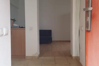 Vanzare garsoniera la curte, Stefan cel Mare Tunari, parter inalt, 65000 euro - 5