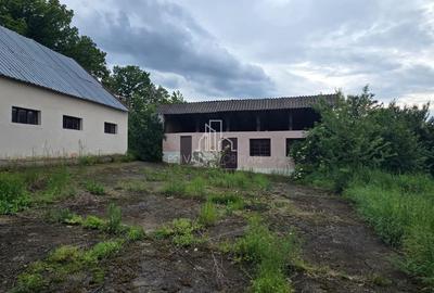 Teren agricol extravilan, 16000 Mp si 1234 Mp, Rora, Sighisoara - 3