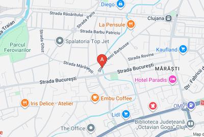 Vând apartament 1 cameră, Mărăști, Henri Barbusse, garaj inclus în preț - 16