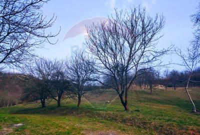 Teren intravilan generos 3.206 mp în Remecioara | Priveliște deosebită - 5