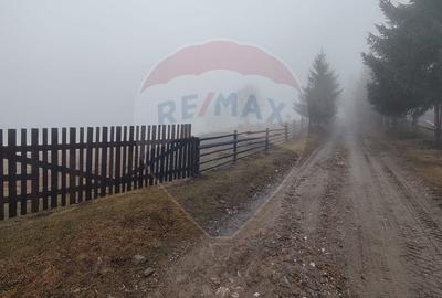 Teren INTRAVILAN 23.238m.p. Dorna-Arini / Cozănești - 3