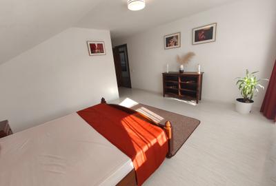 Dumbravita apartament la casa 600 euro - 11
