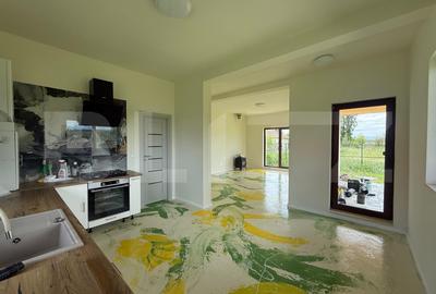 Casa finisată un nivel, 4 camere, 114 mp, 750 mp teren, Jucu de Mijloc - 11