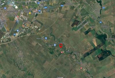 Teren Construcții intravilan de 1956 mp, în Frumușani