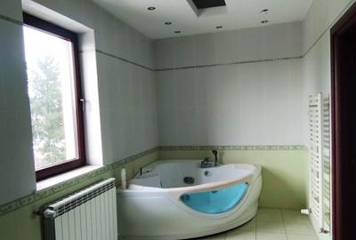 Vila Cernica langa lac - 439000 Euro negociabil - 16