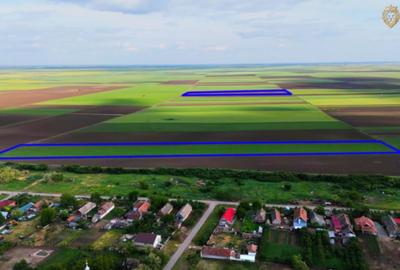 Teren cu potential 6,9 ha in Munar - 5