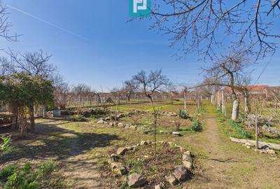 Casă cu 6 camere pe teren de 2029 mp – Miniș - 22