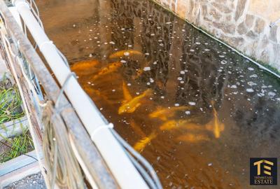 Casă P+M Năvodari | 6 camere | Curte superb amenajată - 8