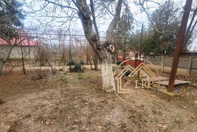 Oportunitate Investiție DN5: 1 ha Intravilan+Casă–Mix Rezidențial/Comercial - 5