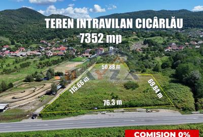 Teren intravilan 7352 mp, cu Deschidere 76.3 m la Șoseaua Națională - Cicârlău - 1